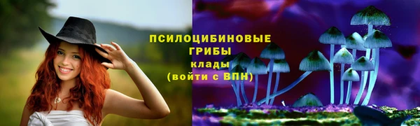 мескалин Абаза